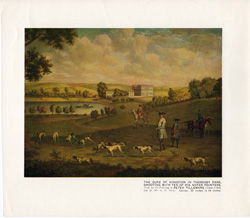 Fox hunting, polo and other horse prints